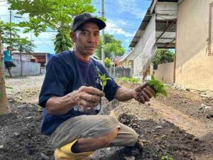 Tumpang Sari….. Lapas Curup Tanam 300 Bibit Cabe Rawit